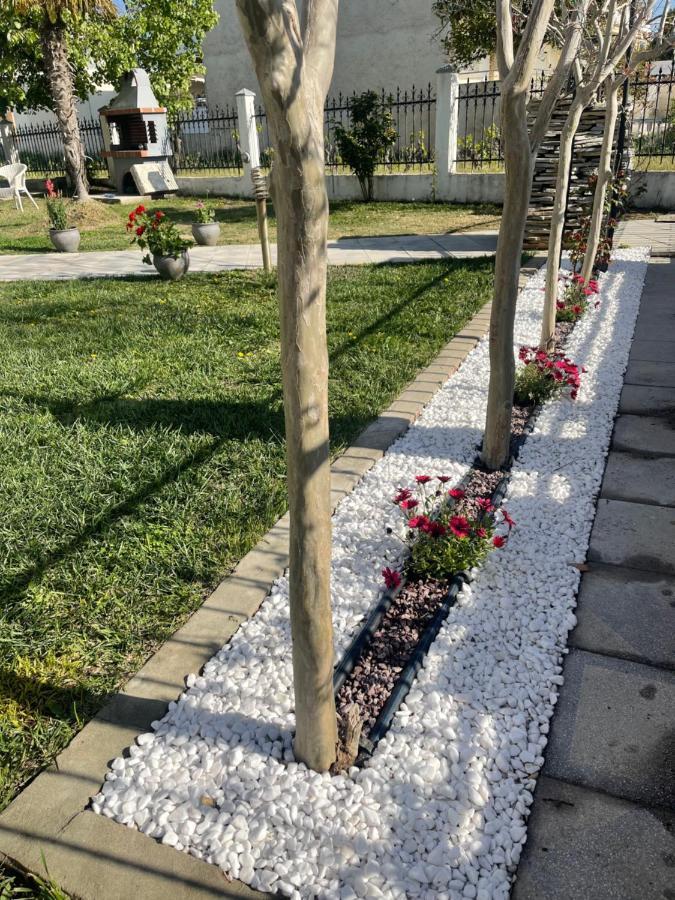 Nikiti Palataki别墅 外观 照片